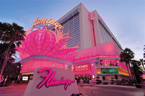flamingo hotel las vegas wiki|Flamingo Las Vegas .